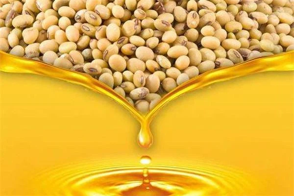 روغن سویا