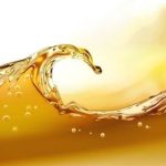 روغن دامی