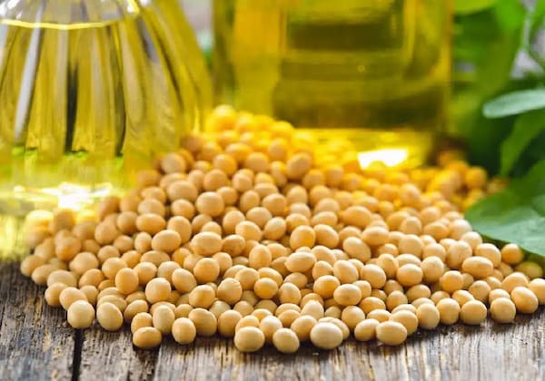 روغن خام
