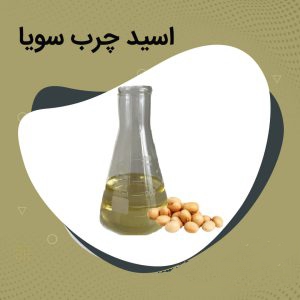 روغن خام سویا