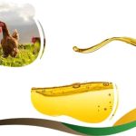 روغن خوراک طیور و دام