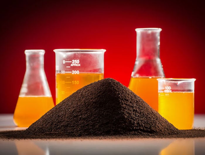 روغن دام