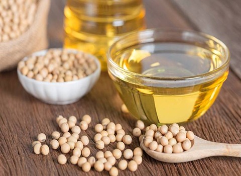 روغن دام