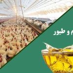 روغن خام ویژه دام و طیور