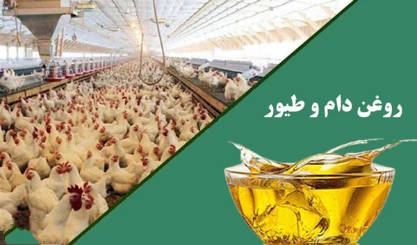 روغن خام ویژه دام و طیور
