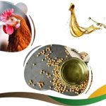 روغن سویا خوراک طیور