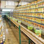 روغن حلب 5 کیلویی