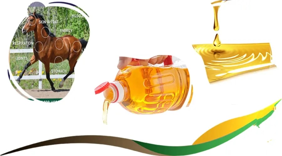روغن سویا ویژه اسب