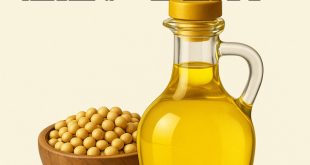 روغن سویا