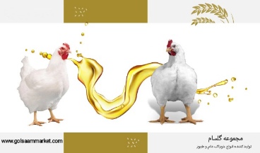 روغن مرغی مخصوص مرغداری